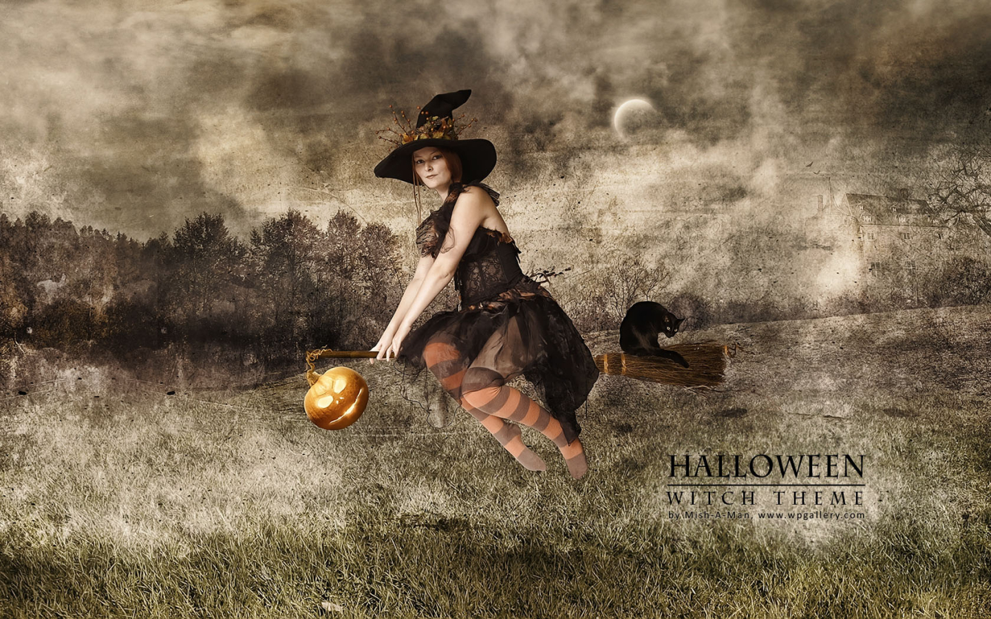 Halloween - Witch theme for 1440 x 900 widescreen resolution